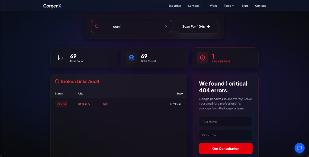 The tool flags specific 404 errors, highlighting the broken URL and whether it is an internal or external link.